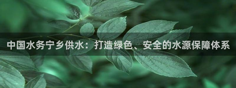 QY球友会官网