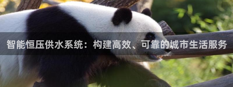 球友会官网下载