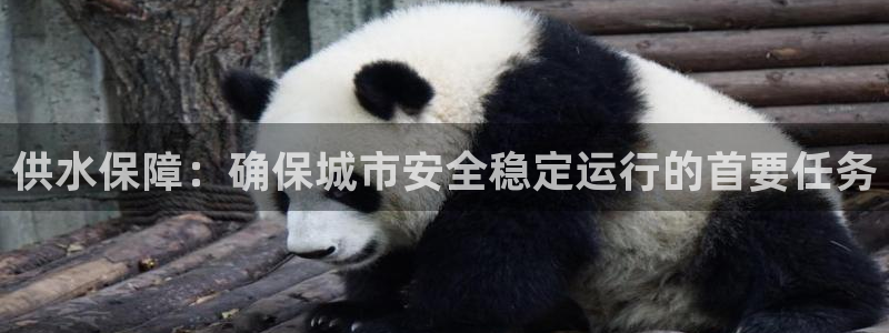 球友会QY