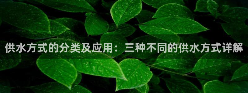 球友会qy怎么进不去