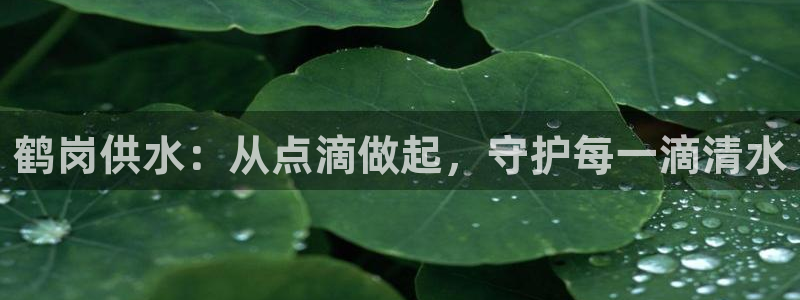球友会官方网站入口