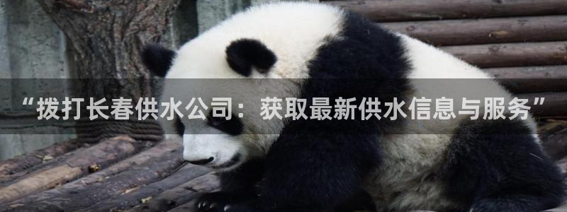 球友会官网下载