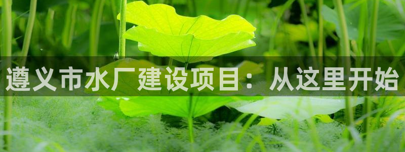 球友会app官方网站入口