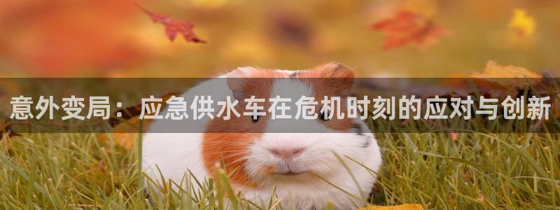 球友会app官网下载
