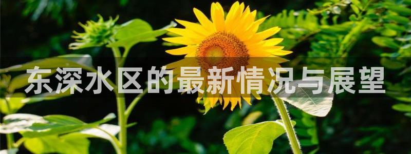 球友会台球俱乐部