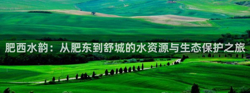 球友会体育