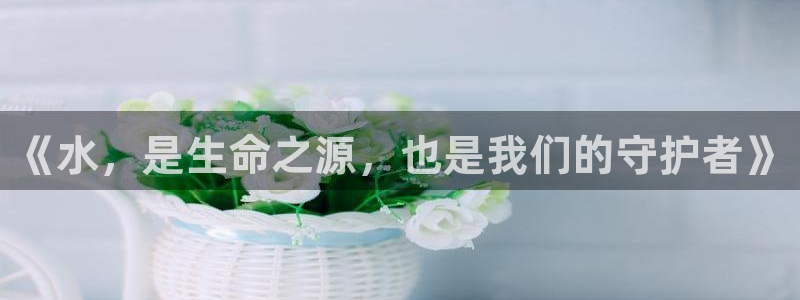 QY球友会体育官网