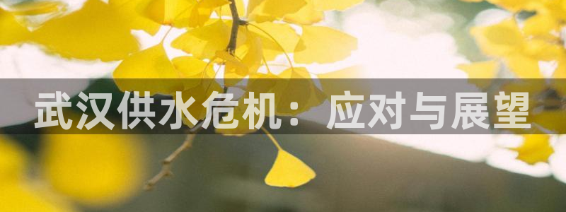 球友会app下载QY