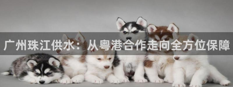 球友会联赛