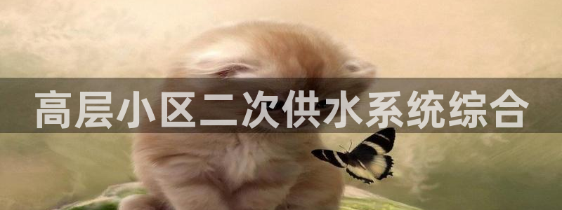 qy球友会体育官下载