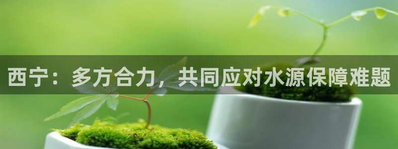 球友会比赛结果查询官网