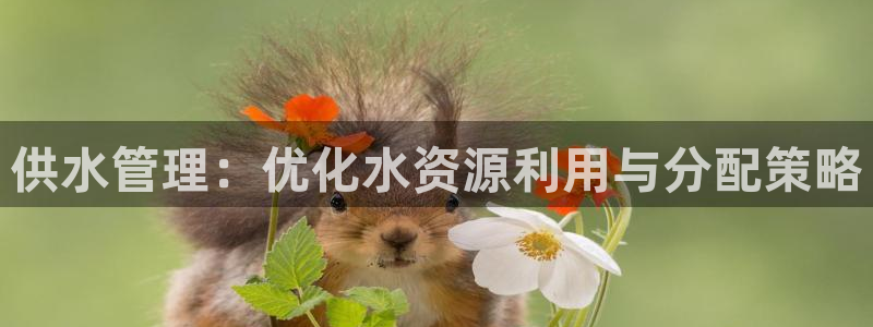 球友会体育app官方版下载安装最新