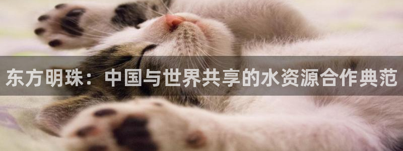 球友会FIFA22比赛是否能随机超控