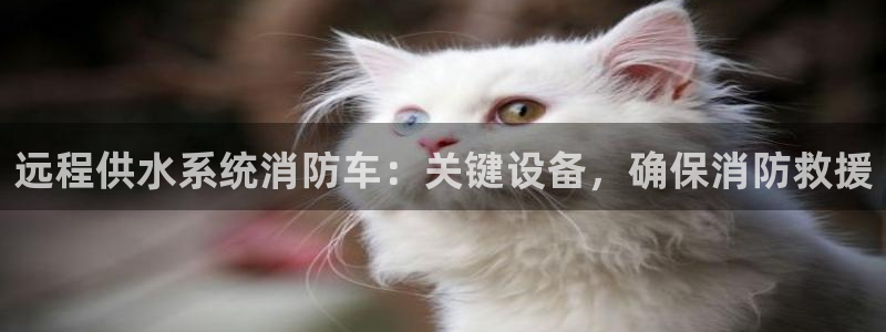 qy球友会体育怎么样