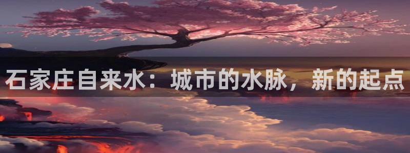 QY球友会体育官网